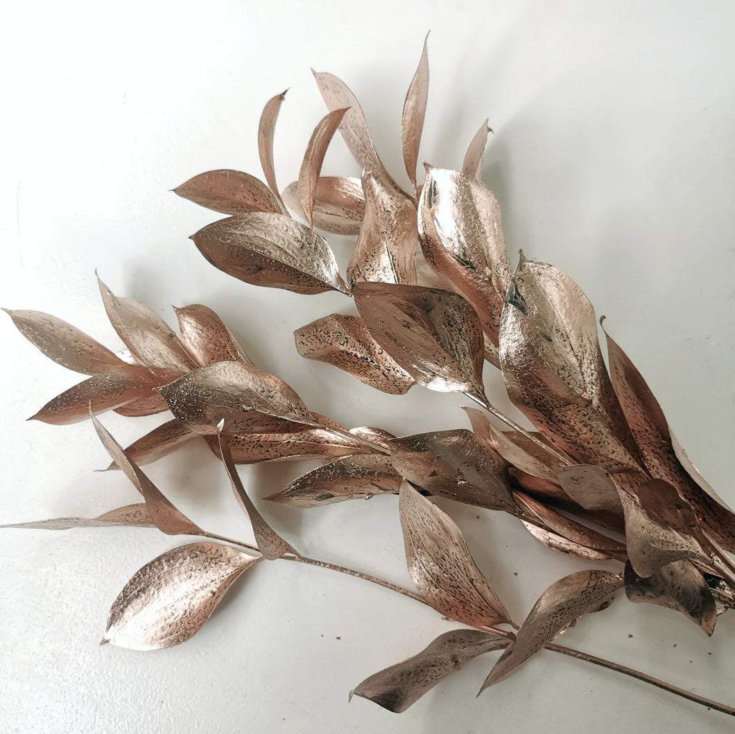 Ruscus- großblättrig,frisch